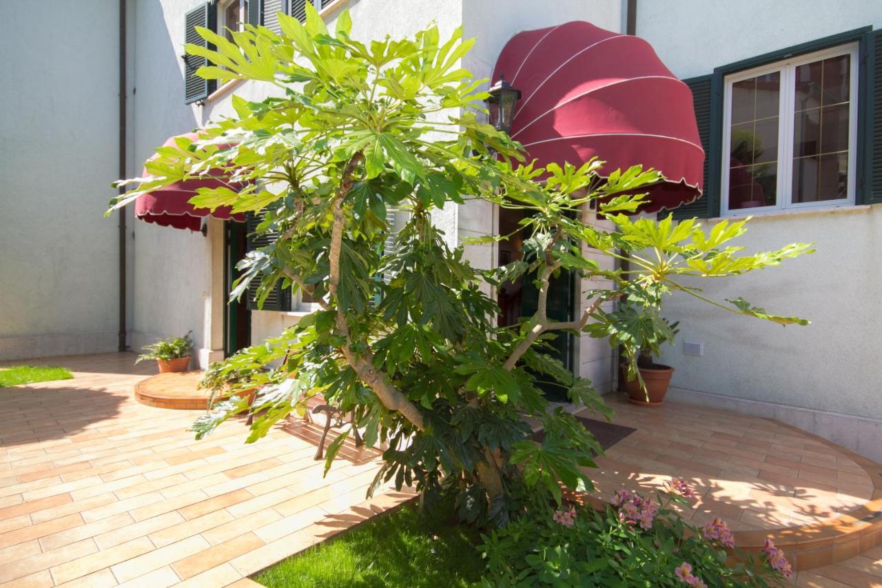רוביני Villa Sveta Eufemija Bed End Breakfast I מראה חיצוני תמונה