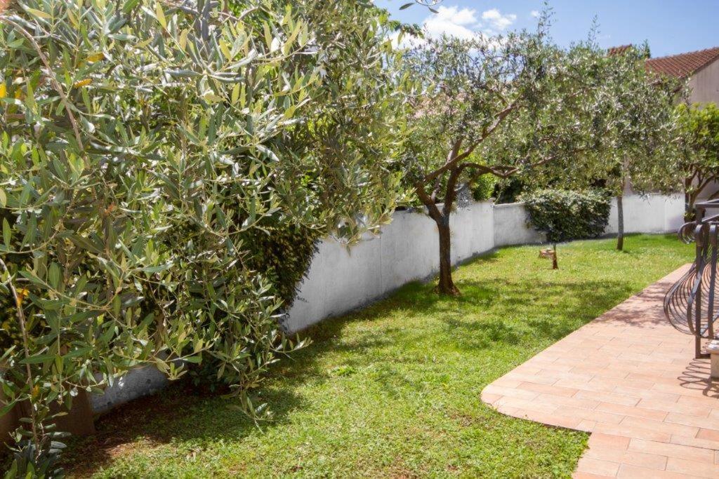 רוביני Villa Sveta Eufemija Bed End Breakfast I מראה חיצוני תמונה